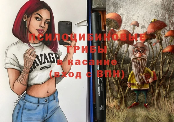 гидропоника Бабаево