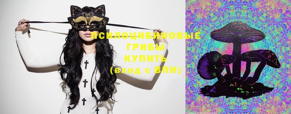 ешки Абаза